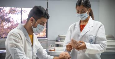 Estudiantes revisando cerebro humano en uno de los labotarios