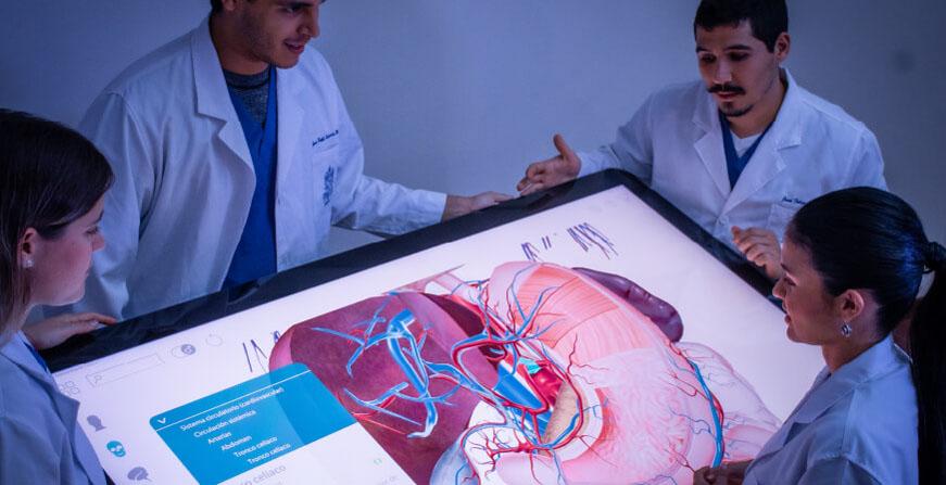 Medicina de la Javeriana Cali Grupo de estudiantes revisando en pantalla partes del cuerpo humano